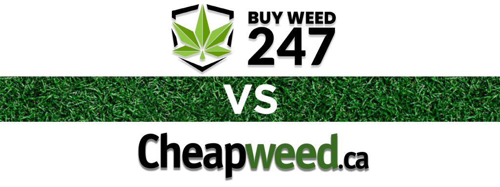 BuyWeed247 vs Cheapweed.ca