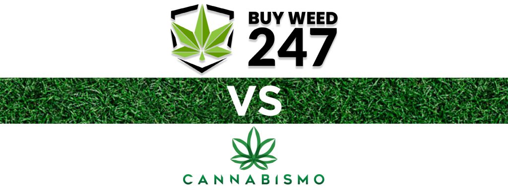247 vs cannabismo