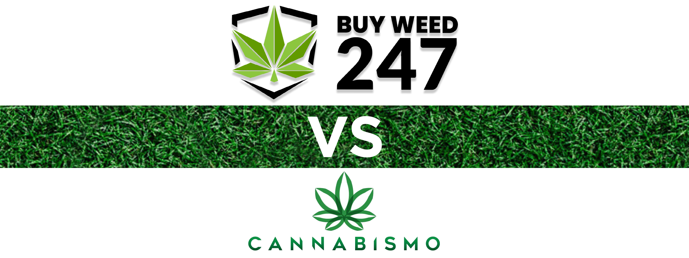 BuyWeed247 vs Cannabismo, BuyWeed247