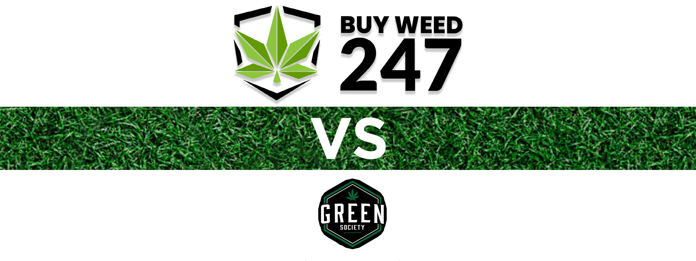 BuyWeed247 vs Green Society, BuyWeed247