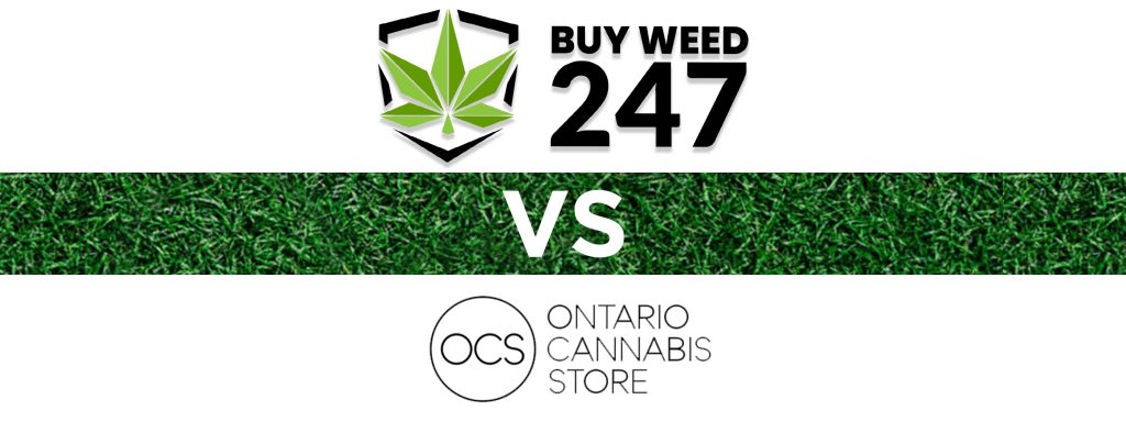 247 vs OCS