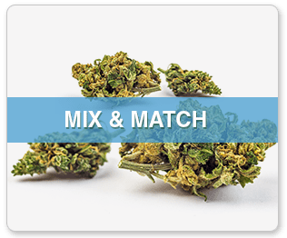 Buy Weed Online, BuyWeed247
