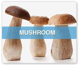 Buy Weed Online, BuyWeed247