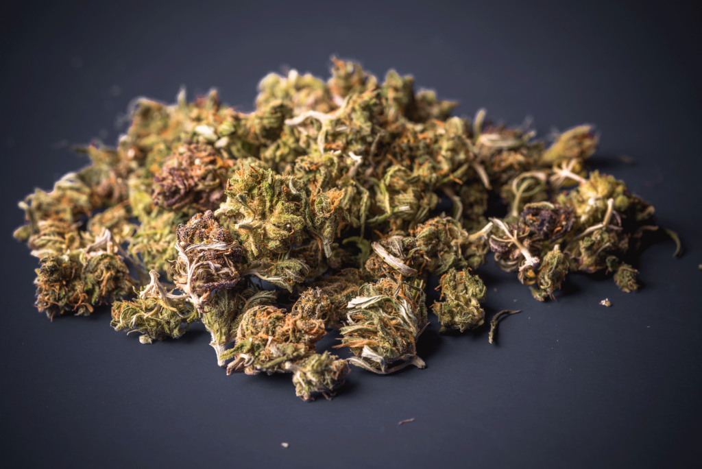 Small is Beautiful: The Largest Smalls Collection in Canada