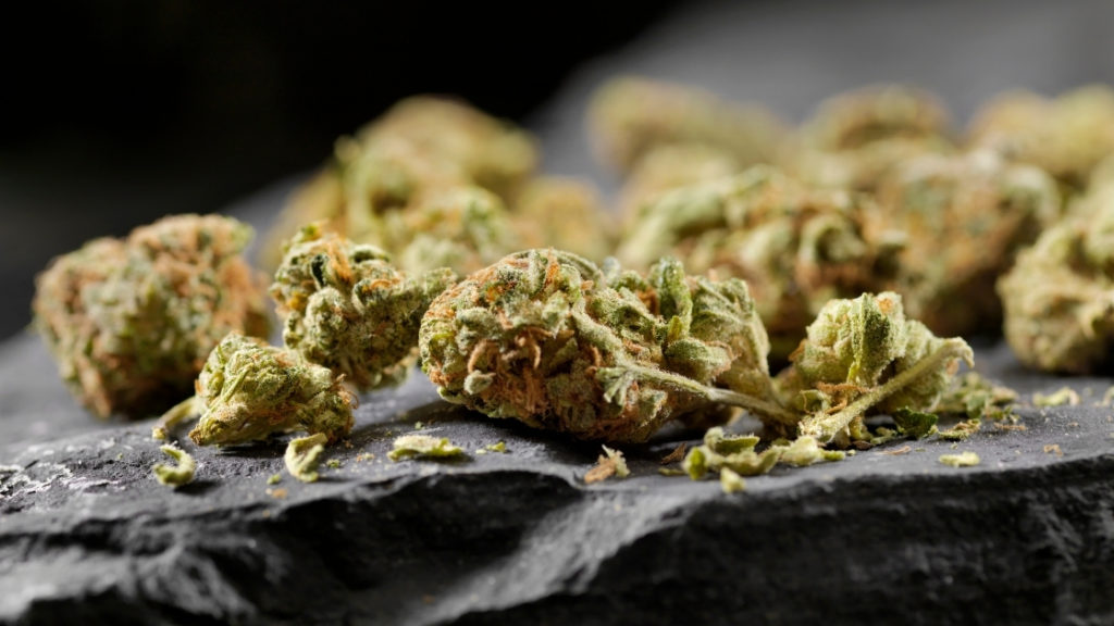 cannabis flower on a rock, cannawholesalers review blog header