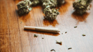 Buy Weed 247 vs. Cheap Weed: What&rsquo;s the Best Bud for you Buck?, BuyWeed247