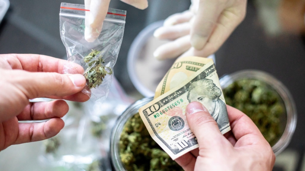 money and cannabis trading hands, cheap weed versus buyeed247 blog header