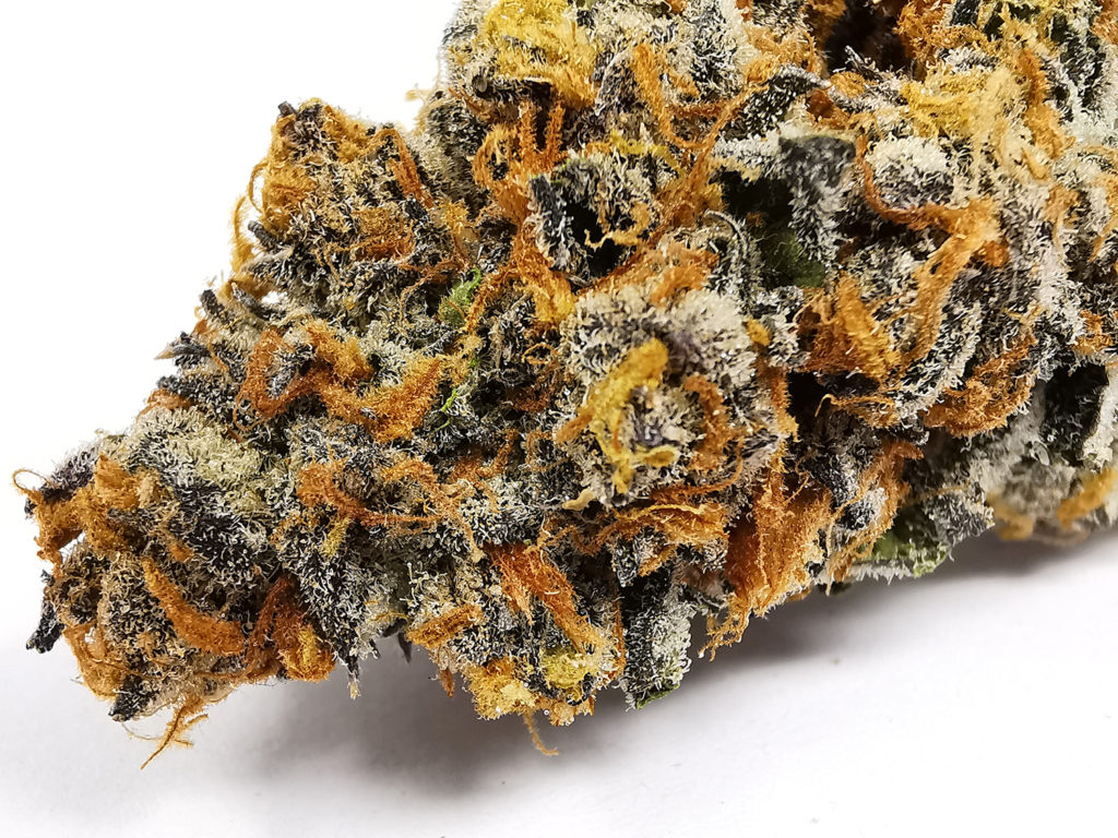 BuyMyWeedOnline Vs. Buy Weed 247 : Which MOM has the Best High Quality Weed?, BuyWeed247