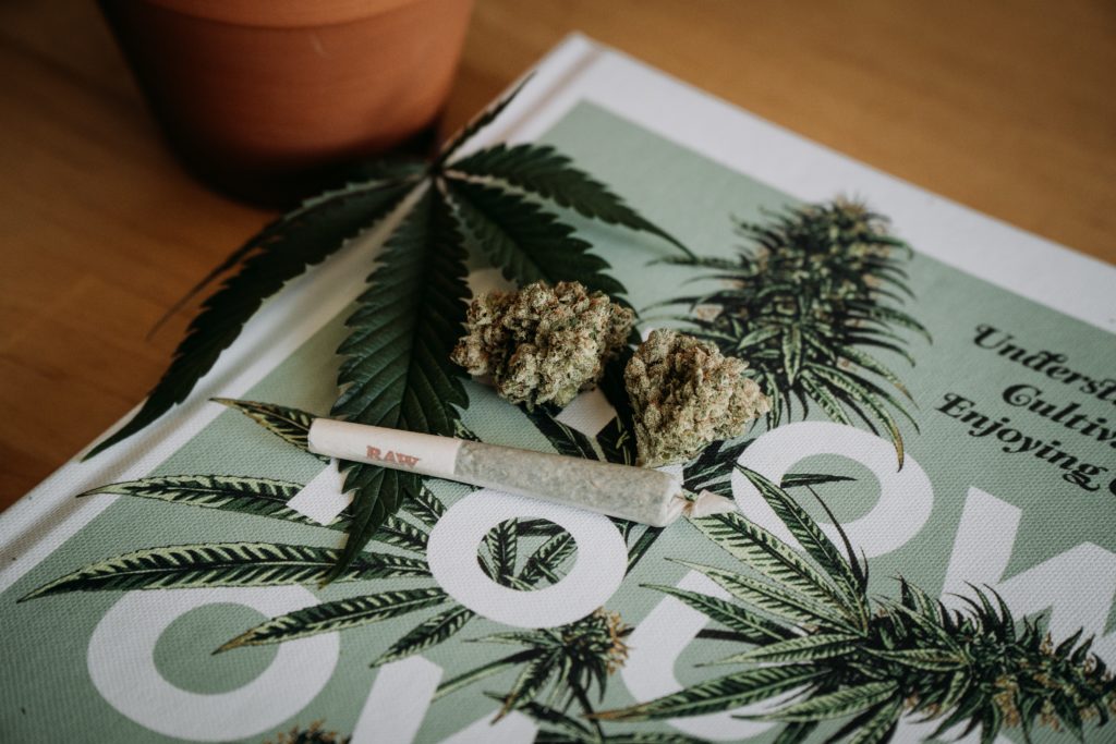 joint, flower, on cannabis book, blog header