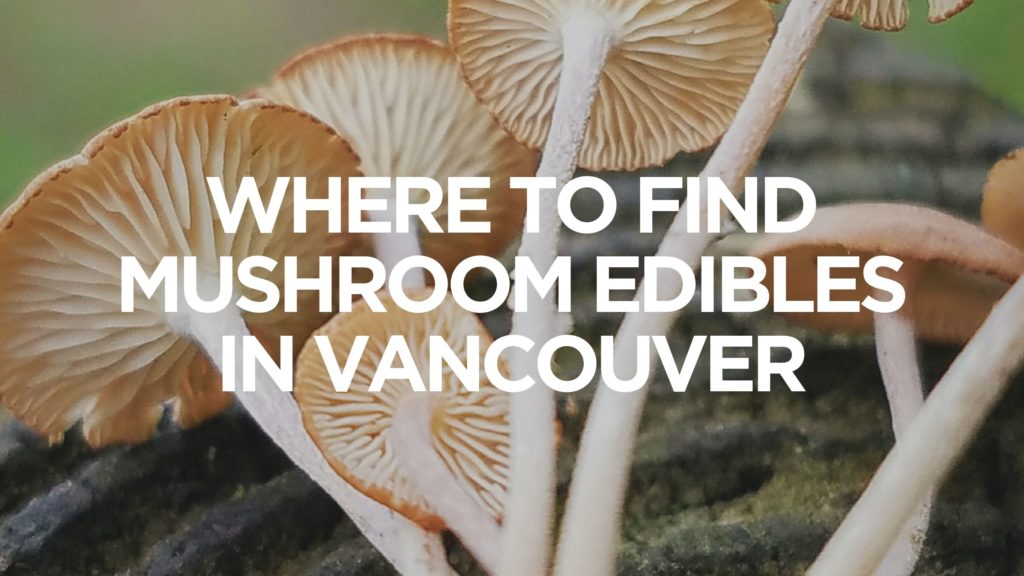 where-to-find-mushroom-edibles-in-vancouver