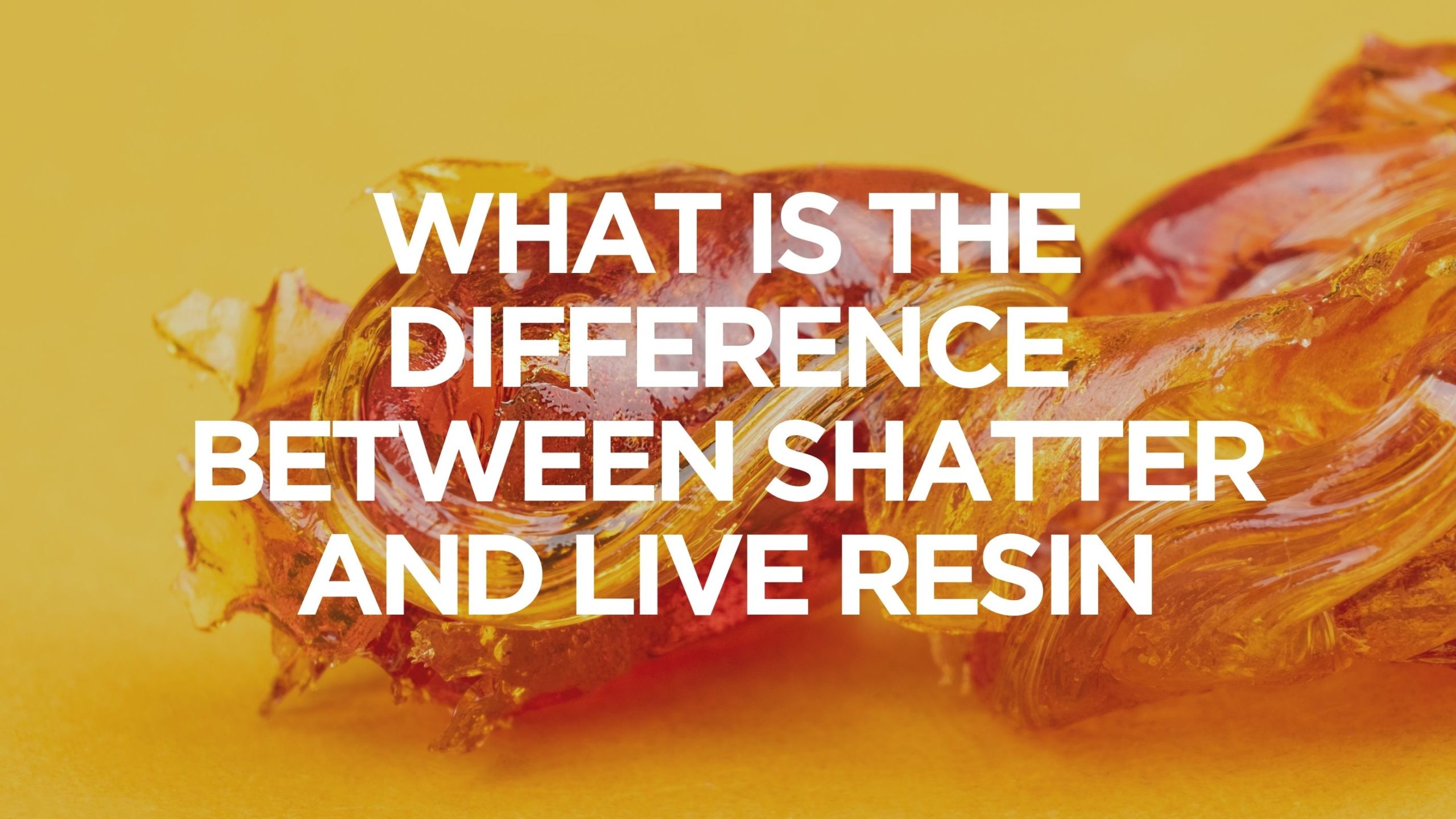 What’s the Difference Between Shatter & Live Resin?, BuyWeed247