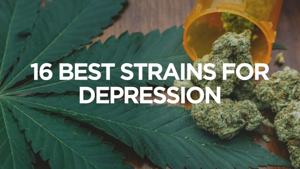 16-best-strains-for-depression