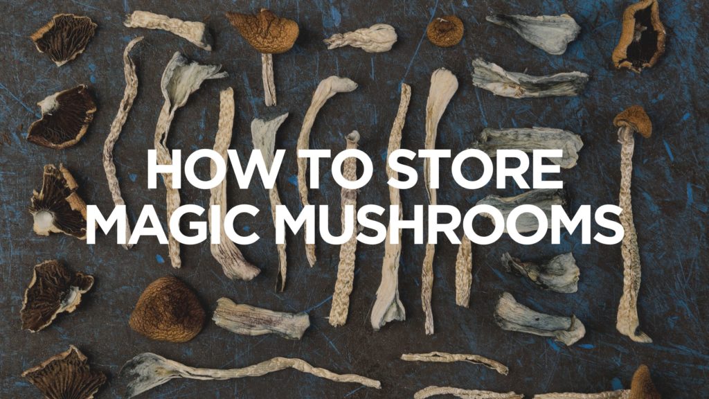 how-to-store-magic-mushrooms