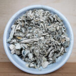 LemonTek Gold Shroom Shake