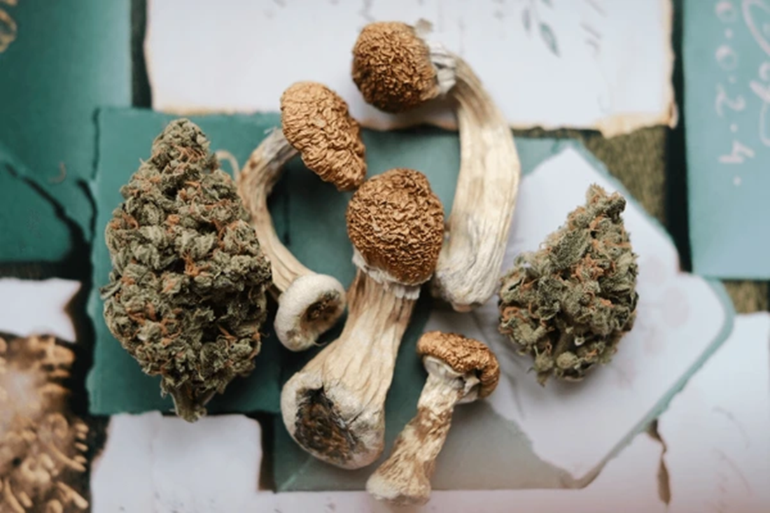 How Weed and Shrooms Can Be Helpful For Ex-Military, BuyWeed247